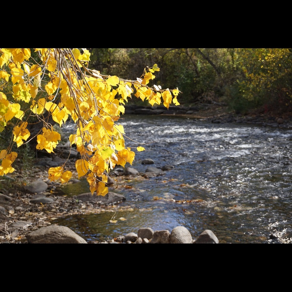 Meet your Posher, Thanh